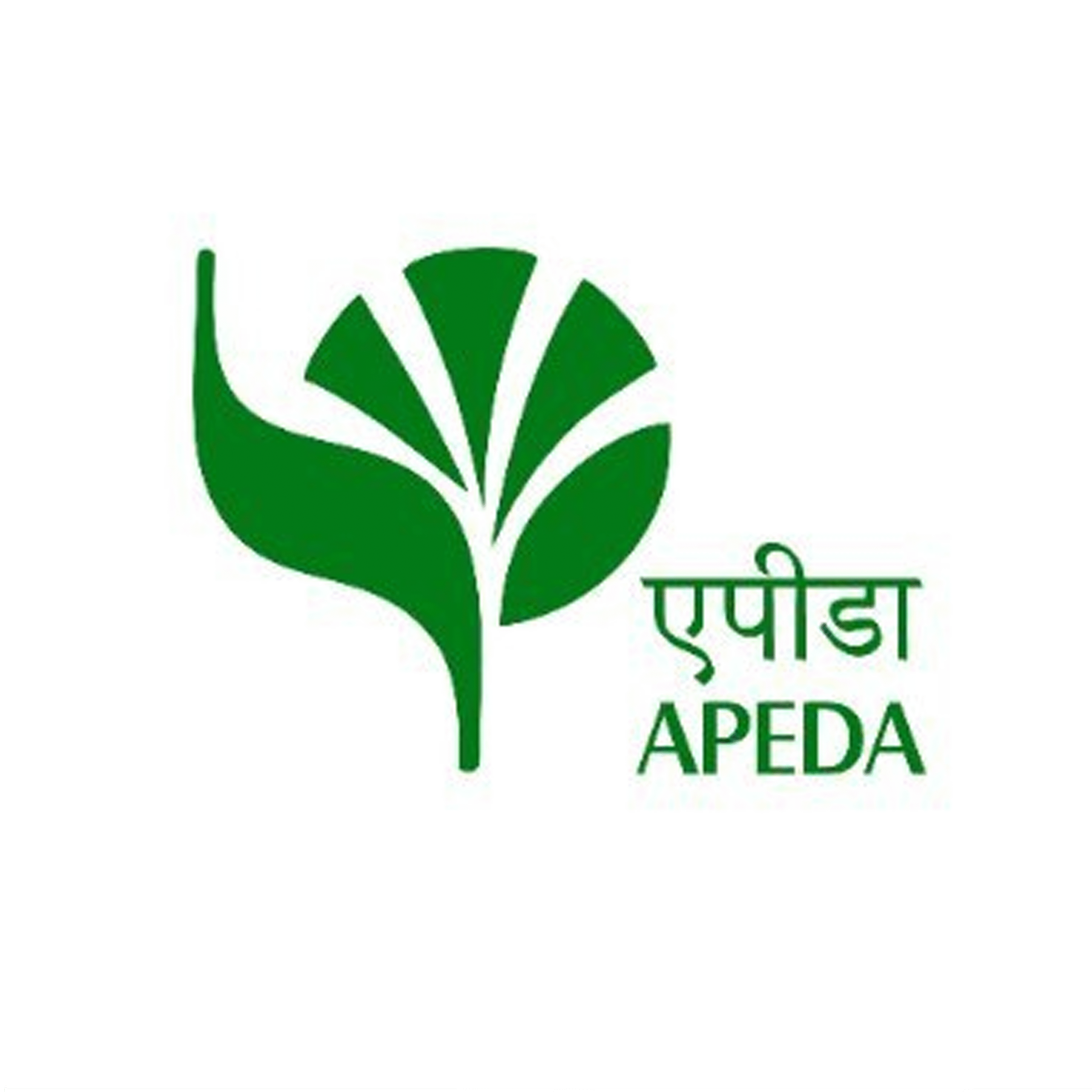 apeda logo
