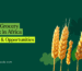 Indian Products in Africa