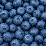 Fresh Blueberry for Bulk Export