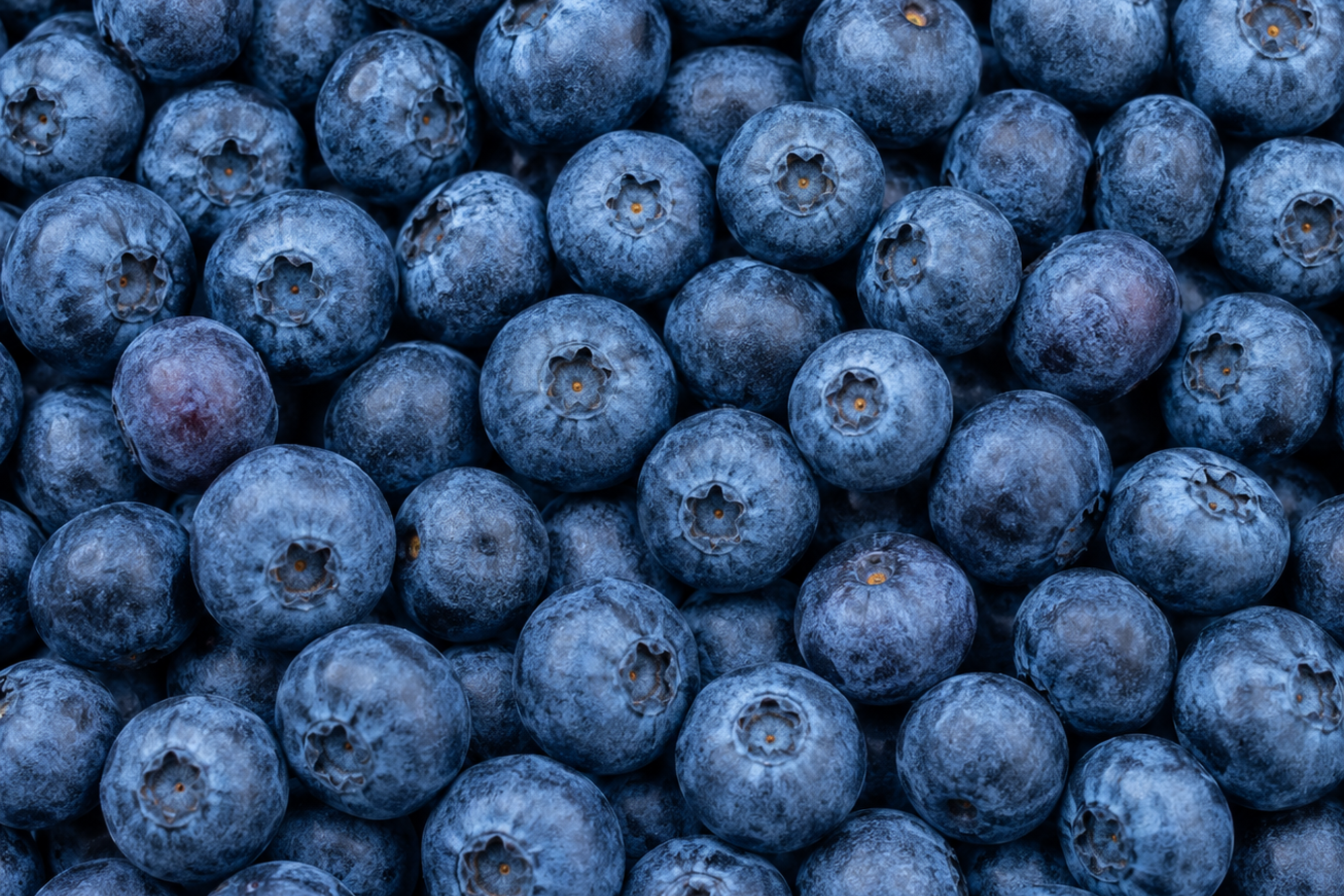 Blueberry