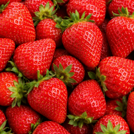 Fresh Strawberry for Bulk Export