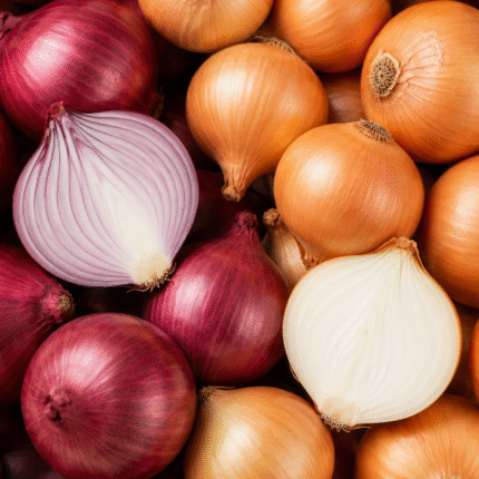 Fresh Red and Yellow Onion for Bulk Export