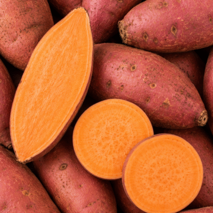 Fresh Sweet Potato for Bulk Export