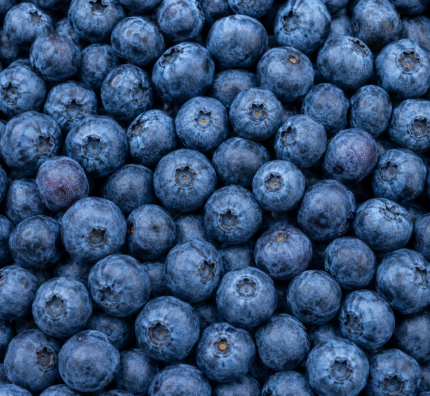 Blueberry