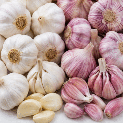 Fresh White and Purple Garlic for Bulk Export