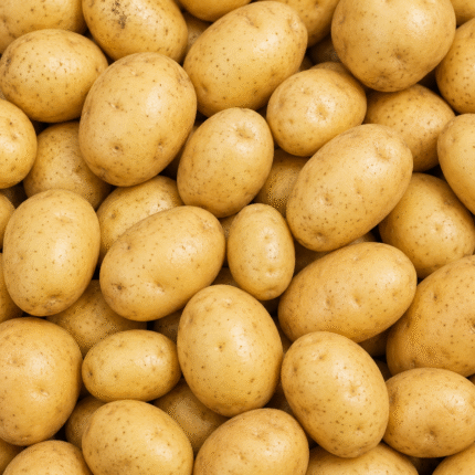 Fresh Potato for Bulk Export