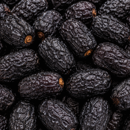 Premium Ajwa Dates for Bulk Export