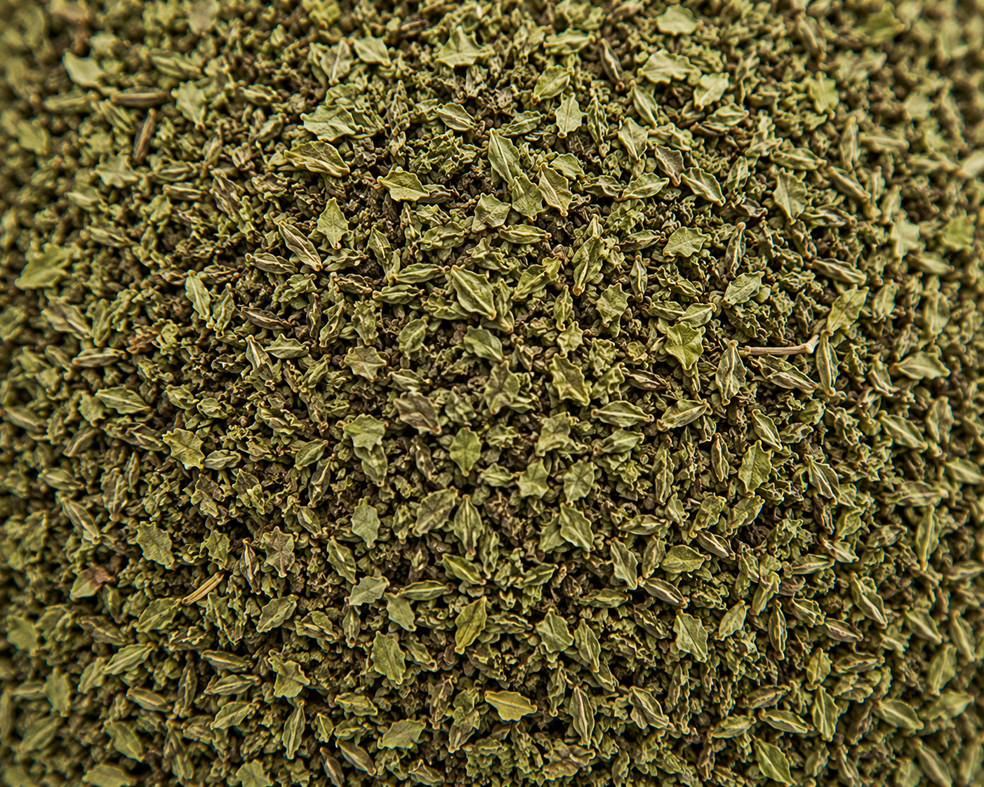 Basil