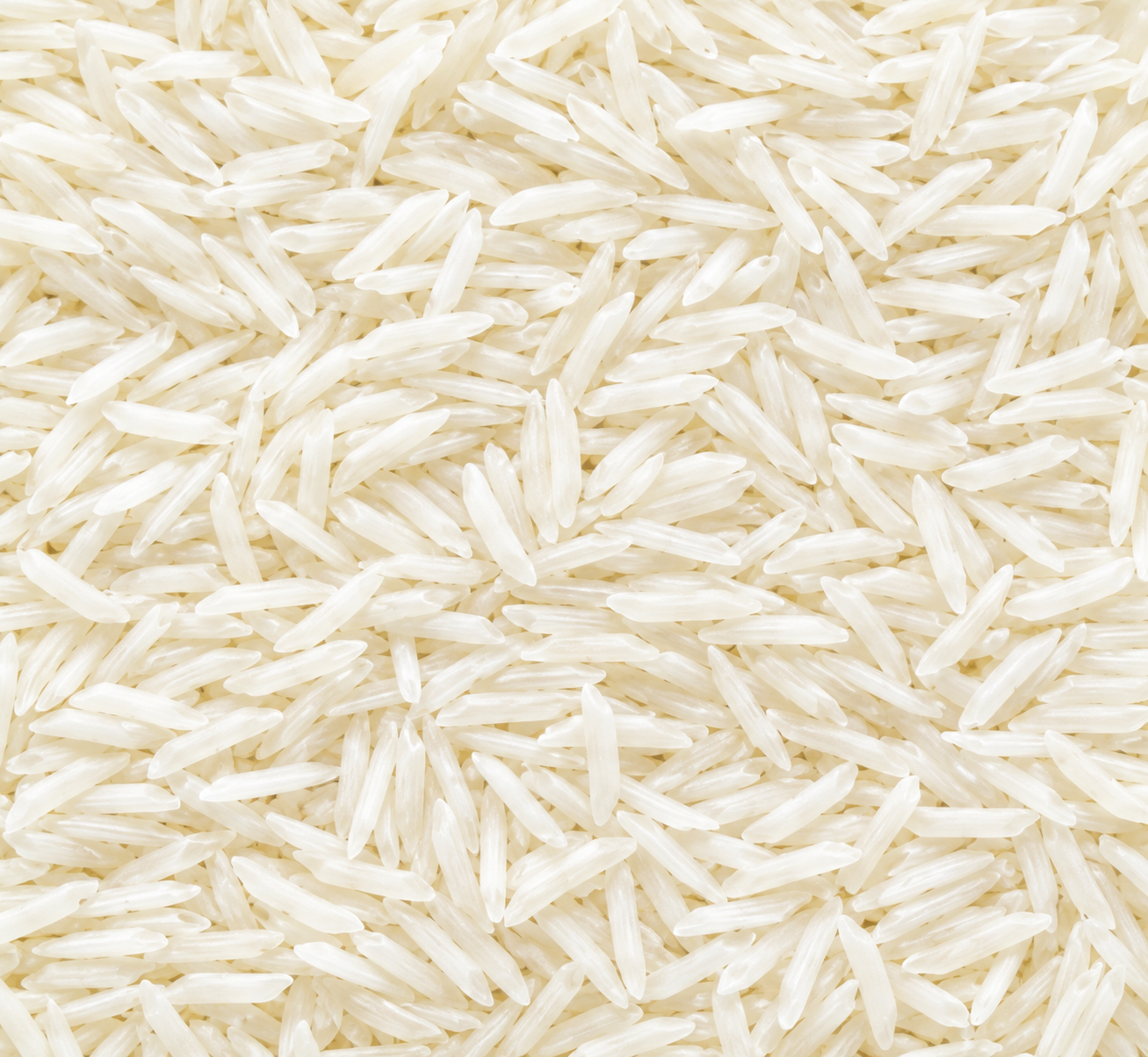 Basmati Rice Premium Basmati Rice for Bulk Export