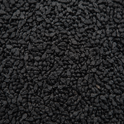 Premium Black Seeds Nigella for Bulk Export