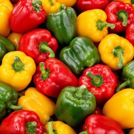 Fresh Green Red and Yellow Capsicum for Bulk Export