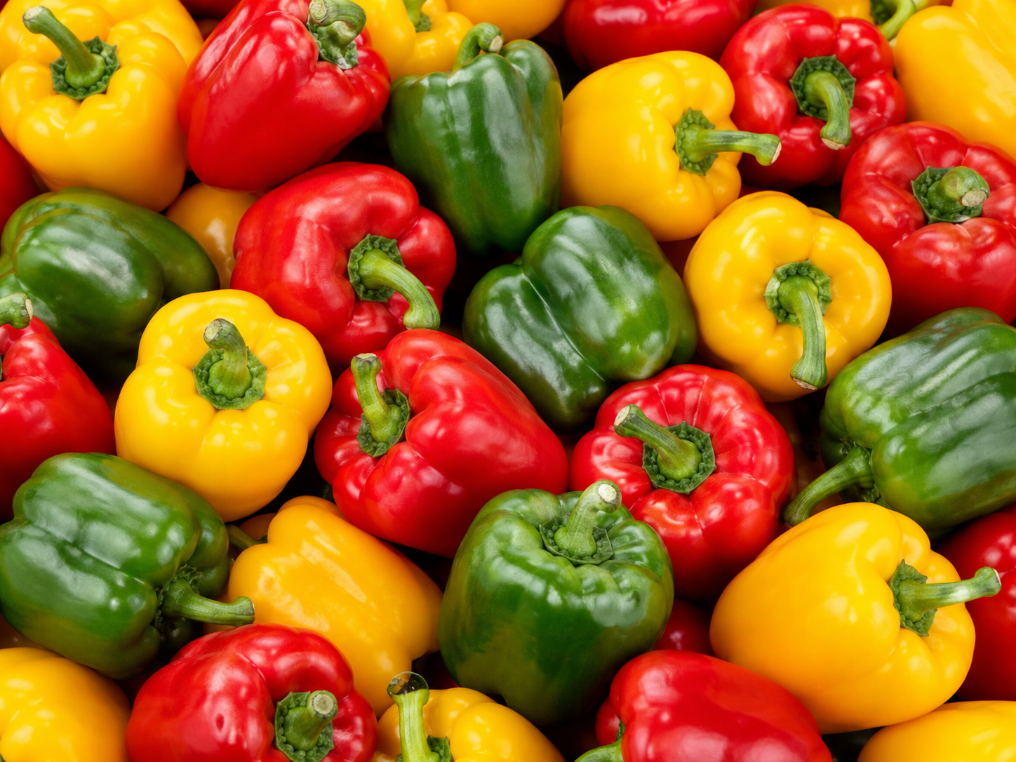 Capsicum