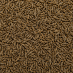 Premium Whole Caraway Seeds for Bulk Export