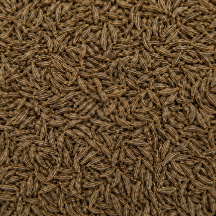 Premium Whole Caraway Seeds for Bulk Export