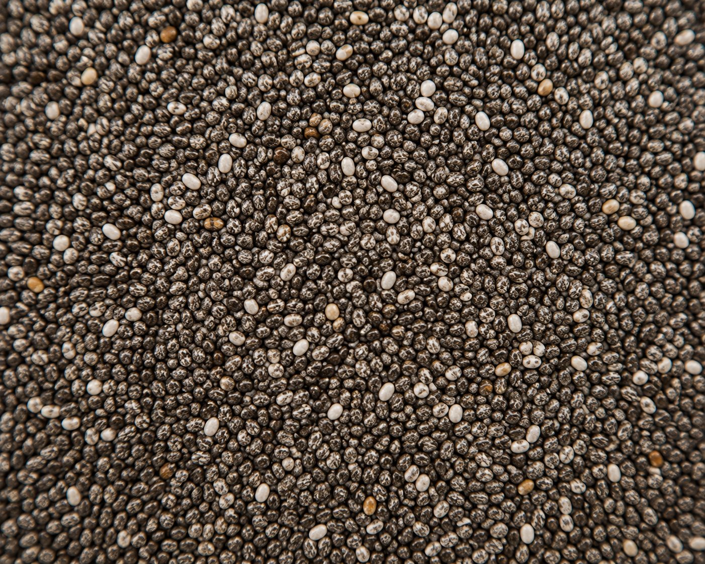 Chia Seeds