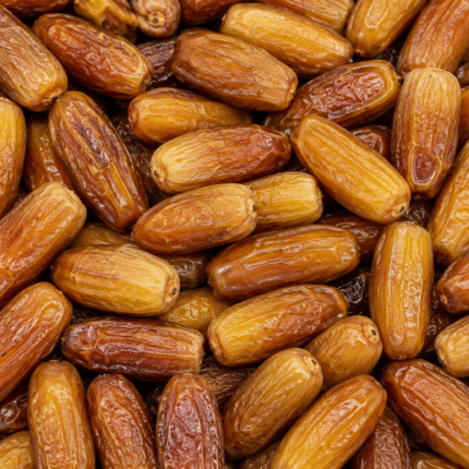 Premium Deglet Nour Dates for Bulk Export