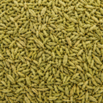 Premium Green Whole Fennel Seeds for Bulk Export