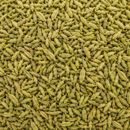 Premium Green Whole Fennel Seeds for Bulk Export