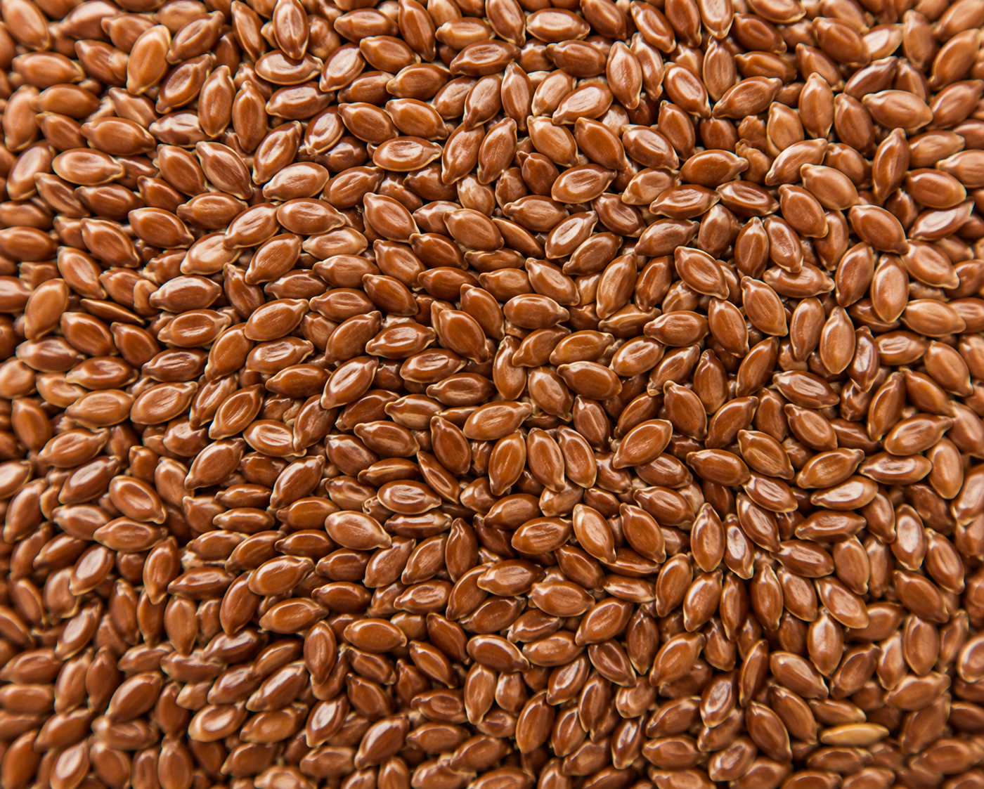 Flax Seeds