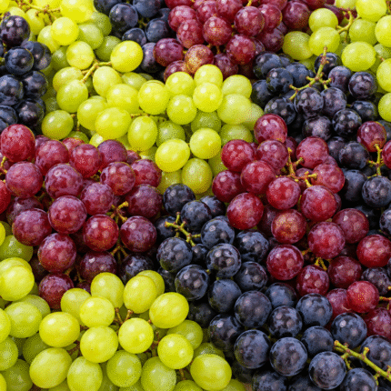 Fresh Grapes for Bulk Export
