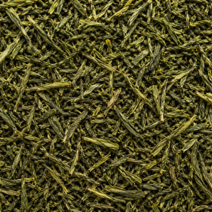 Premium Green Tea Leaves for Bulk Export