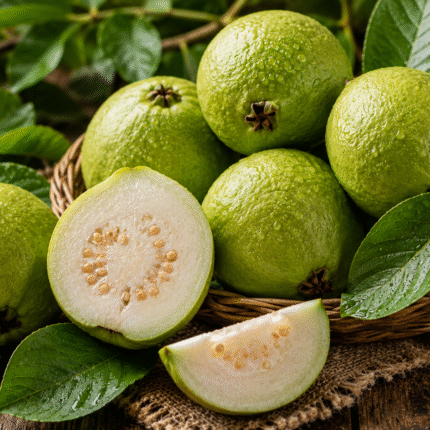 Fresh Guava for Bulk Export