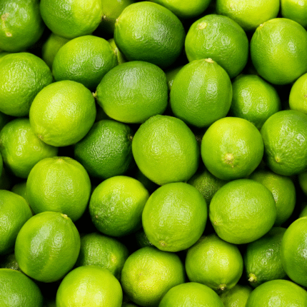 Fresh Bearss and Key Lime for Bulk Export