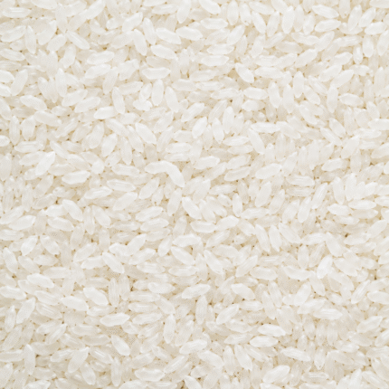 Premium Non-Basmati Rice for Bulk Export