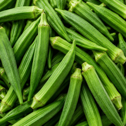 Fresh Bright Green Okra for Bulk Export