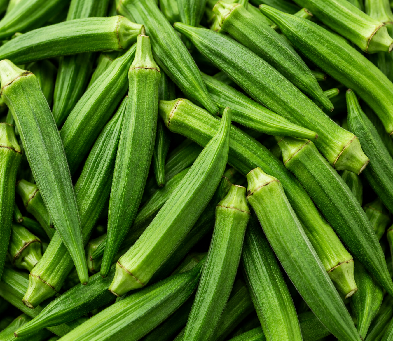 Okra Fresh Bright Green Okra for Bulk Export