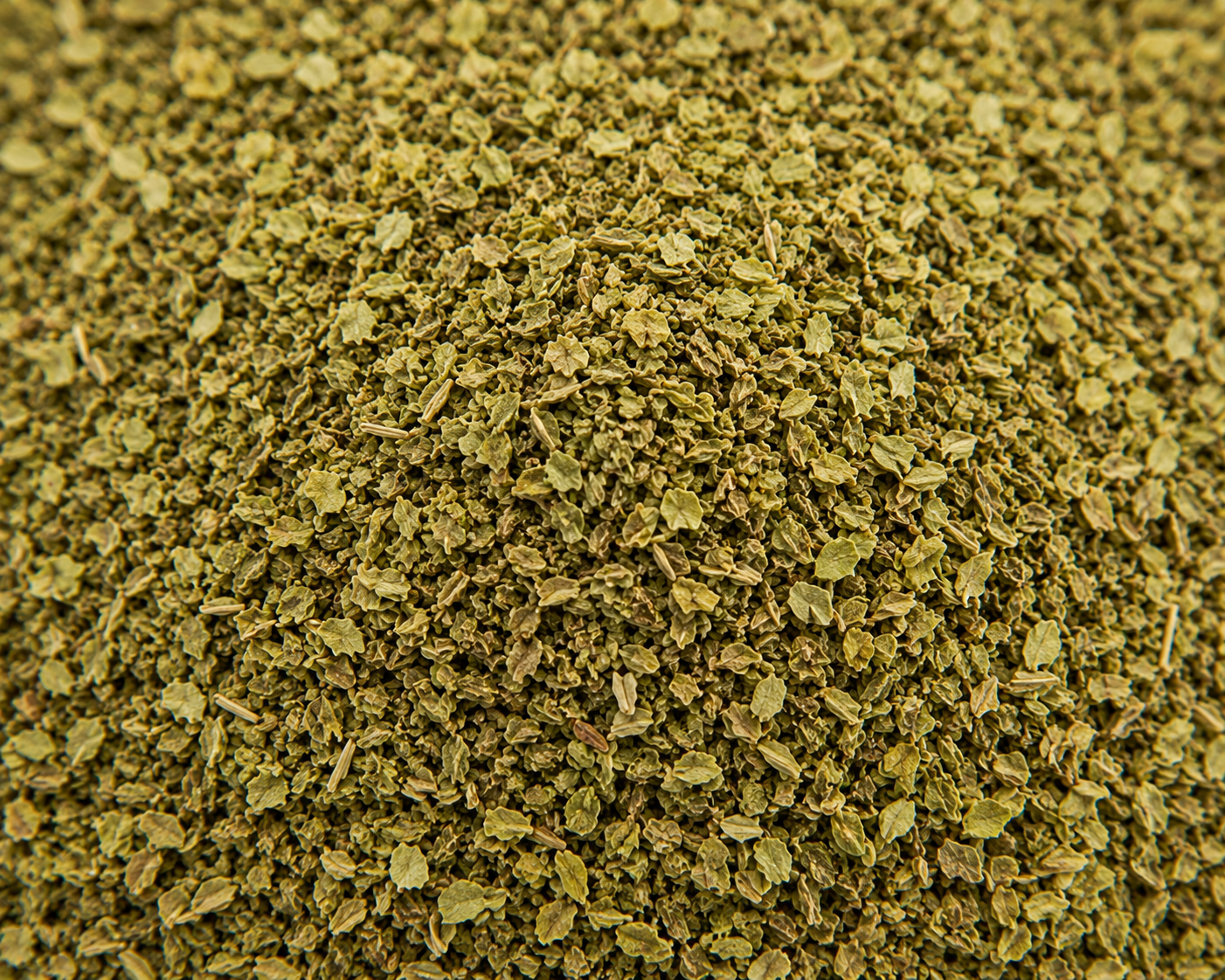 Oregano