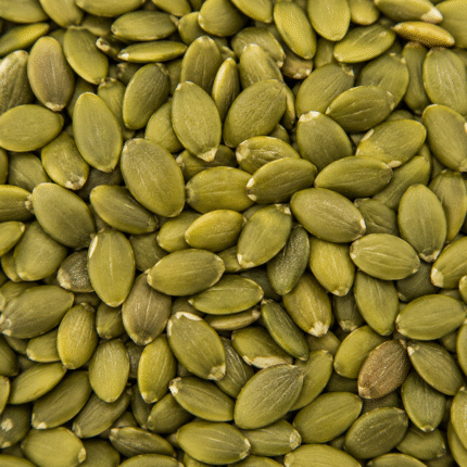 Premium GWS Pumpkin Seeds for Bulk Export