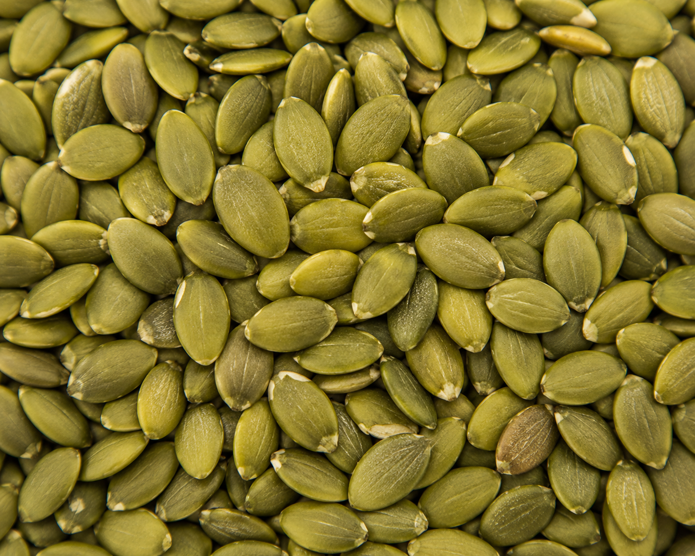 Pumpkin Seeds