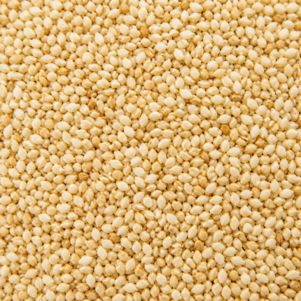Premium Sesame Seeds for Bulk Export