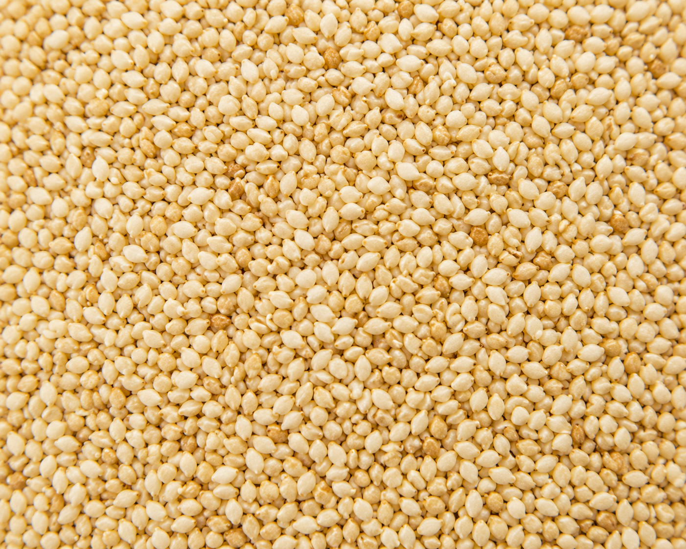 Sesame Seeds