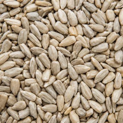 Premium Sunflower Seeds for Bulk Export