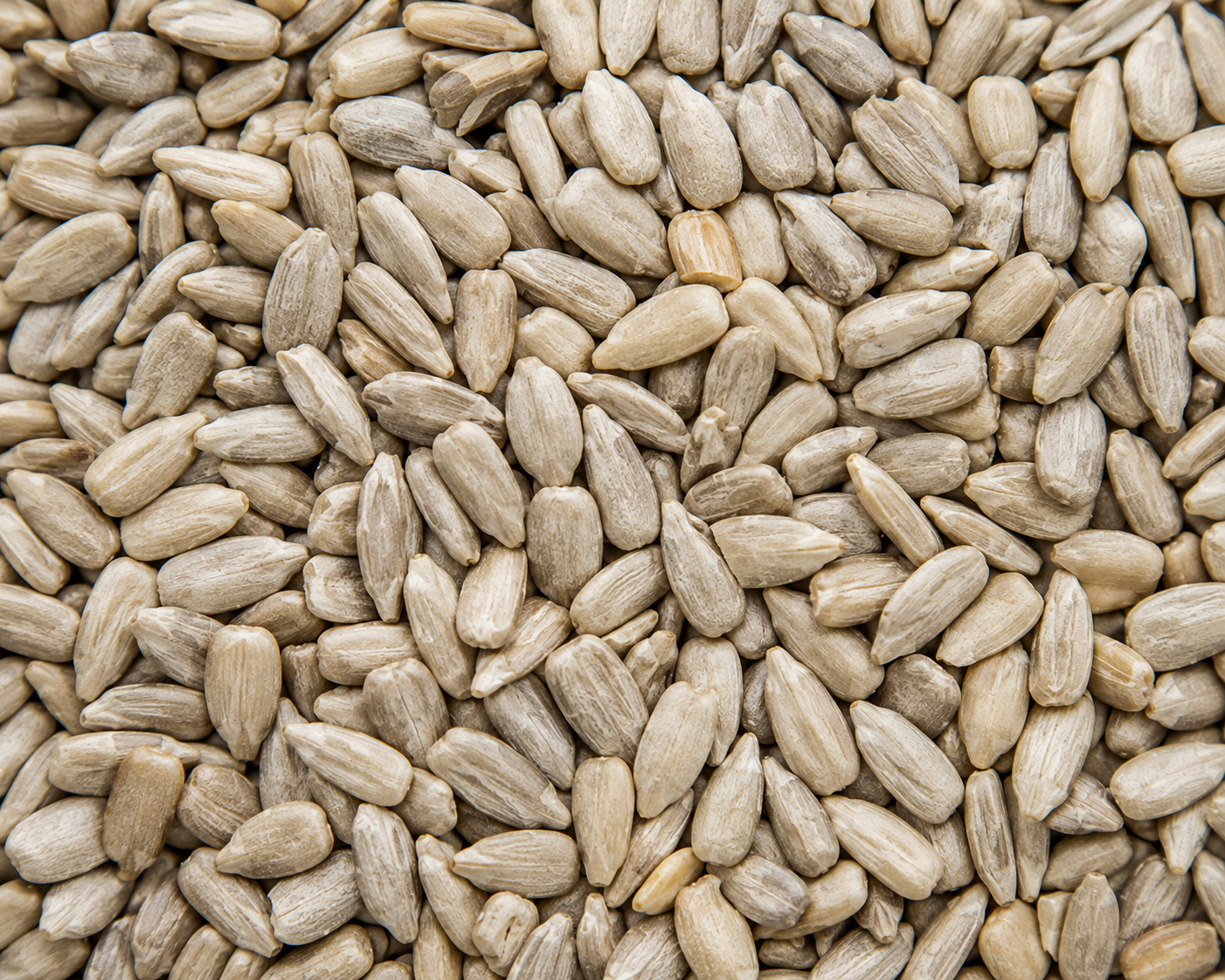 Sunflower Seeds