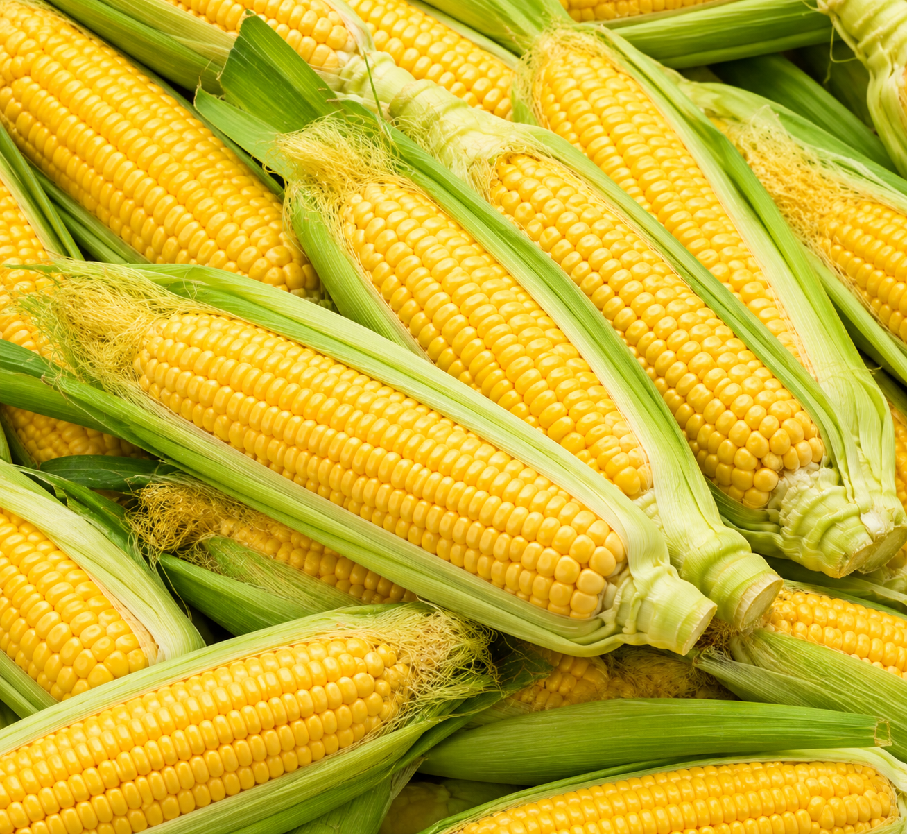 Sweet Corn