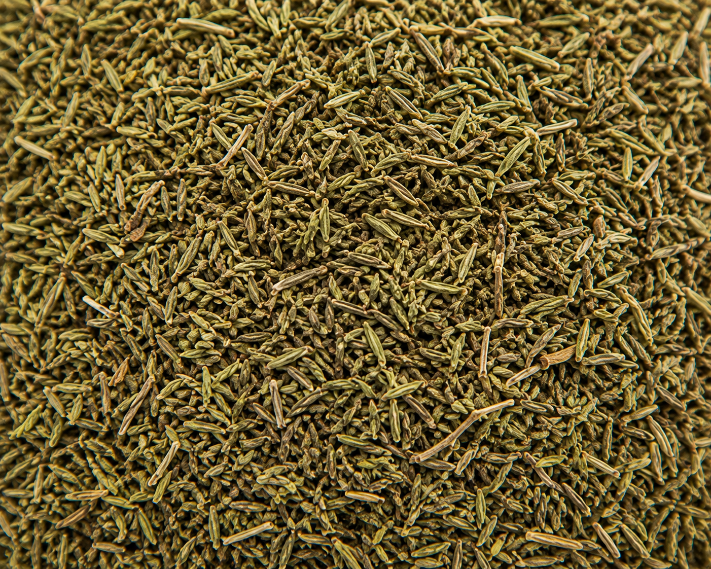 Thyme