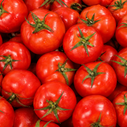 Fresh Tomato for Bulk Export