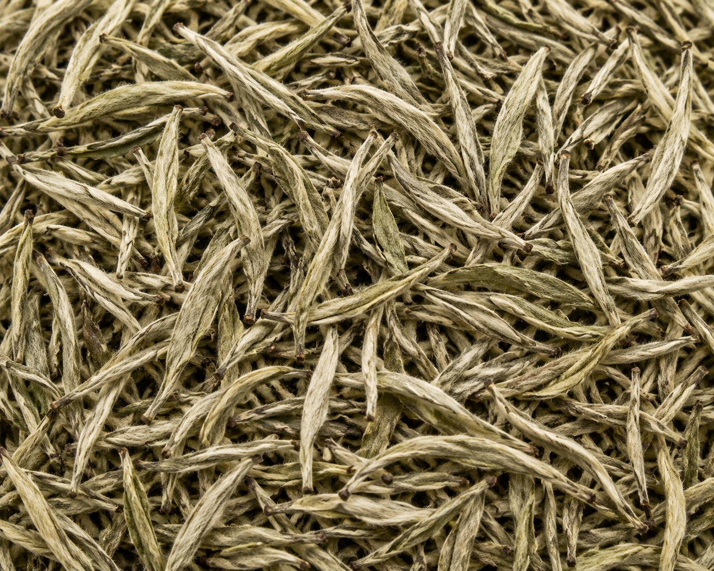 White Tea