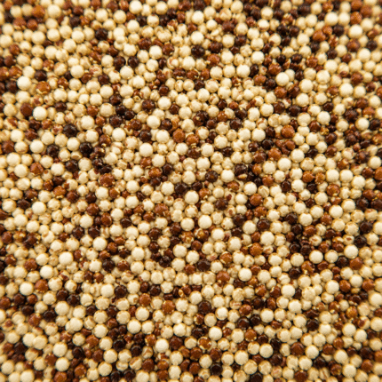 Premium White Red and Black Quinoa for Bulk Export