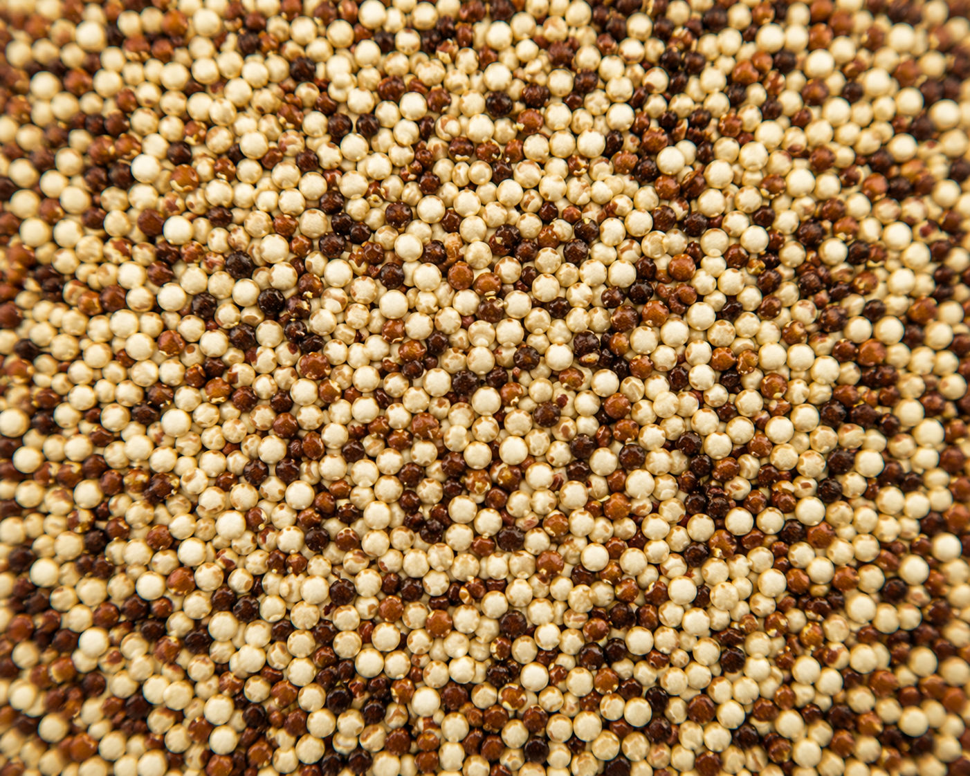 Quinoa